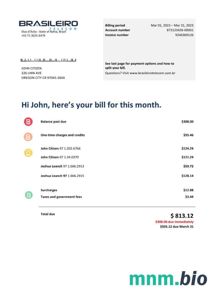 Brazylia Braziliero Telecom Telekomunikacja bill słowo i PDF szablon